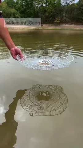New way of fishing 