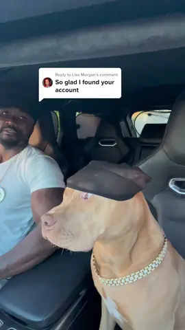 Replying to @Lisa Morgan #AD #music #artist #viral #bestvideo #dogsoftiktok #dogsoftiktokviral #viraltiktok #dogsgoviral #funnydogvids 