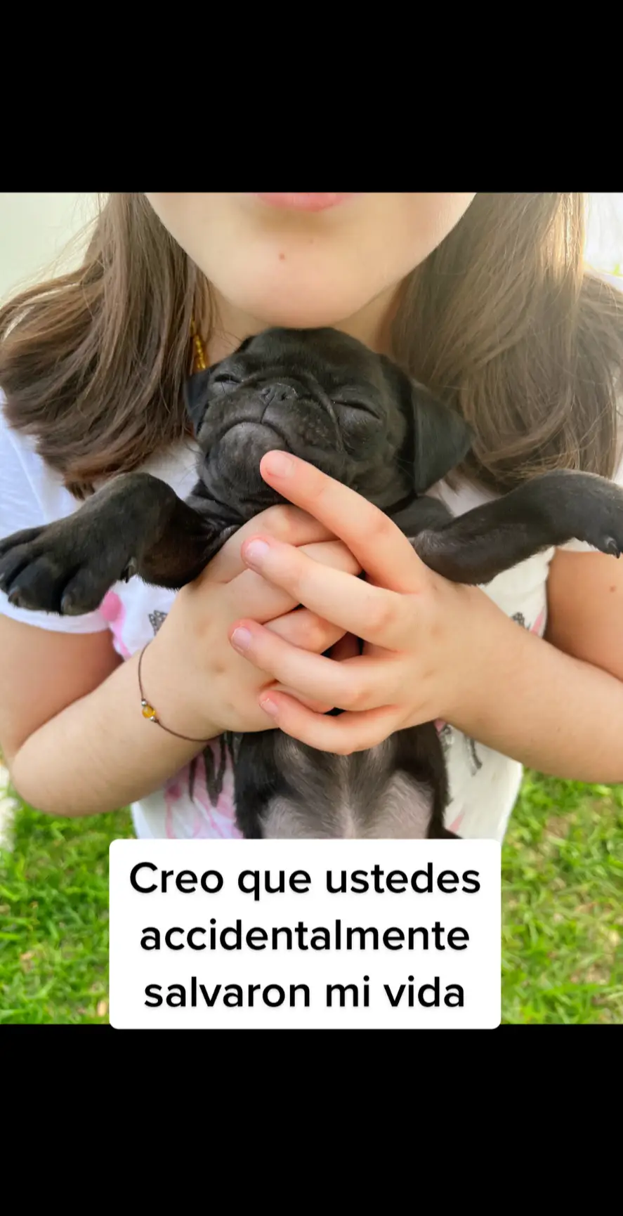 @It’s Pug Bertha fake story… es de chill 🤙 #itspugsita #pug 