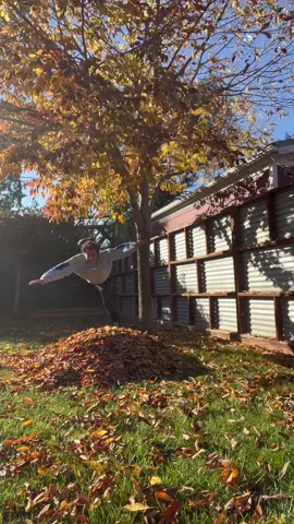 fall is in FULL SWING