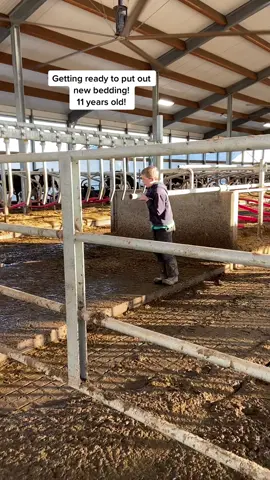 Getting ready for new bedding! T has to move all the cows to one side of the barn so he can spread bedding with the skidsteer! #dairyfarm #dairy #cow #cows #cowtok #milk #supportfarmers #farmlife #newbarn #fyp #fypシ゚viral #fypシ #foryou #LearnOnTikTok #edutok #follow #farmlifeisthebestlife #the_beef_boys #bedding #manurepress #redneck #agtok #farmtok #novascotia #canada #cowfarm