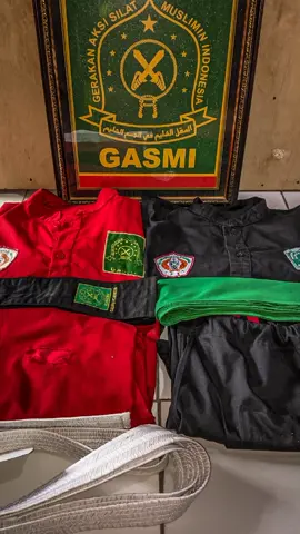 #gasmilirboyo #pagarnusa86 #pagarnusa86💚🔱 #pagarnusastory #gasmiponorogo