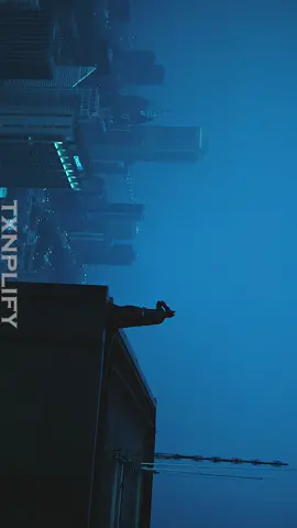 The Dark Knight / Edit / 4K / #fyp  #999arsav  #edit  #4k  #thedarkknight