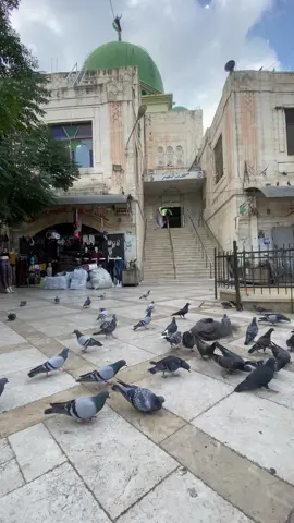 نابُلس التي نحب  #نابلس_فلسطين  #البلدة_القديمة #باب_الساحة 