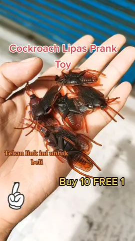 Cockroach PRANK Toy Buy 10 free 1  One for RM0. 99  #LIPAS #COCKROACH #prank 