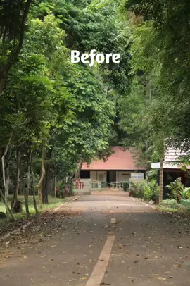 Preset bukanlah cara yang baik untuk mempercantik foto, buatlah color gradingmu sendiri!