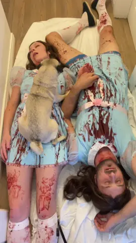 He’s so proud of himself 🔪🩸  #killer #theshining #redrum #puglife #halloweenpug #gradytwins #allworkandnoplay 