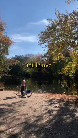 Went to Prospect Park and it was fall vibes #fall #nyc #prospectpark #newyorkcity #fyp 