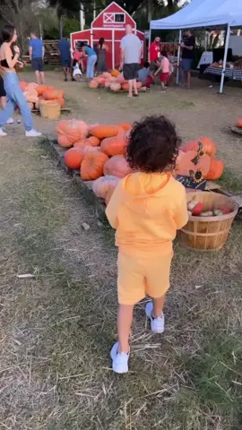 Pumpkin Patch Day🎃 #StemDrop001 #FomotionalFinds #fyp #dial #grwm