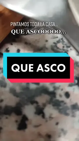 NUEVO AUDIO DE PINTAMOS TODA LA CASA... QUE ASCOOOO 🤣 #pintamostodalacasa #queasco #bobesponja #parati #tajadas 