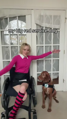my 5 year old dreams have finally come true… i have a big red dog ✨♿️🐕 #Clifford #CliffordTheBigRedDog #Halloween2022 #DreamsDoComeTrue #D#DisabilityW#WheelchairW#WheelchairGirlW#WheelchairLifeF#FYPF#ForYouPageV#ViralC#ChronicIllnessI#InvisibleIllnessC#ChronicPainL#LetsTalkMentalHealthM#MentalHealthAwarnessM#MentalHealthMattersM#MentalHealthW#worldmentalhealthdayD#DysautonomiaP#PotsR#ROHHADsyndromeP#PeriodicParalysisG#GastroparesisR#RareDiseaseL#LupusS#ServiceDogD#DisabledFashionB#BabeWithAMobilityAidD#DisabledAndCuteC#ChronicallyAwesomeS#SpoonieB#ButYouDontLookSickD#DiaphragmPacemakerS#SelfLoveS#SelfCareD#DisabilityPrideD#DisabledJoyT#TikTokTaughtMeWirehairedVizsla #B#BeCyberSmartC#CleanTok#M#MercadoTikTokT#TikTokForGoodH#HalloweenDecorT#TikTokHalloweenFashion4You 