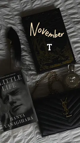 My November TBR 🍂 #book #BookTok #bookworm #bookrecommendations #literature #tbr #sarahjmaas #acotar #alittlelife #hanyayanagihara #allthelightwecannotsee #thesecrethistory #babel #rfkuang #donnatartt #anthonydoerr  #oscarwilde #doriangray #theportraitofdoriangray 