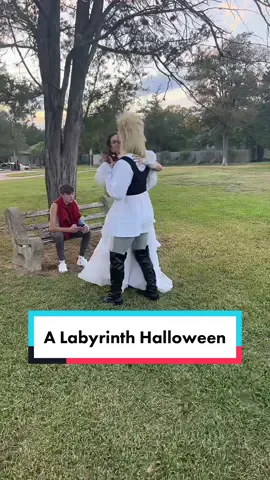 It seemed … appropriate.  #iykyk #labyrinth #80s #sullivanfamilytiktok #happyhalloween 