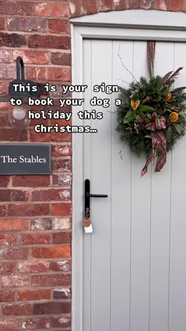 Time to book your dog a Christmas getaway #ukstaycation #christmas #dogswelcome #dogholiday #uktravel 