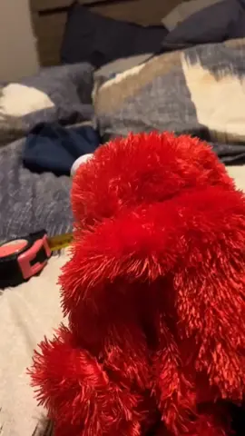 #foryoupage #elmo #probemsolved 