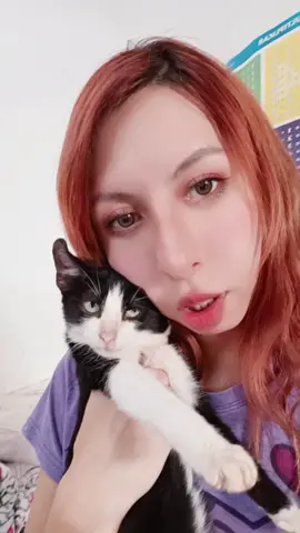 ella mi gatita me sigue a todas partes esperando que me acueste a su lado 😻😻😻