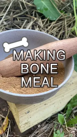 #CapCut  Making your own Bone Meal amendment #DIY #Garden #Gardentok #Recycle #fypシ 