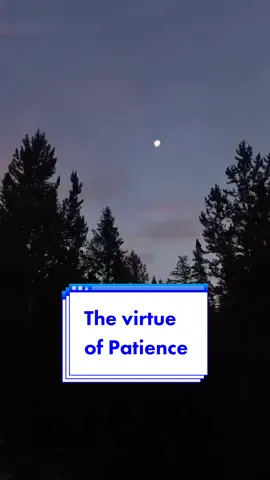 This is a sermon Called The Pearl of Patience written by Charles Spurgeon.  #Foryoupage #viral #JesusChrist #Jesus #4youpage #4you #ChristianTikTok
