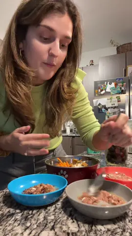 #catsoftiktok #cattok #FIV #fivawareness #PetsOfTikTok #catfood #dogfood #dogsoftiktok #fypfoodie 