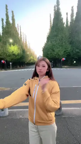 朝５時の明治神宮外苑のイチョウ並木🤫#バイク女子 #アラサー女子 #独身女 #クシタニ #イチョウ並木 #カブツー #fyp 