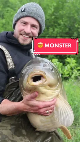 Just a monster of a carp 🤯 #karpfenangeln #carpfishing #monstercarp #bigfish 