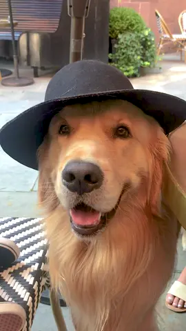 did i make u look?😎🤨 #madeyoulook