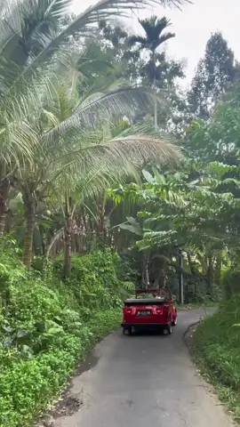 Bali🇮🇩 #bali #indonesia #mandaparitzcarltonubud #travel #foryou 