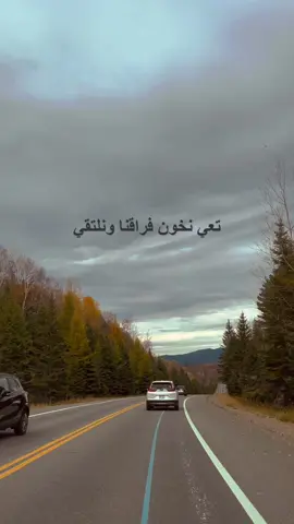 #fyp #canada🇨🇦 #اغاني_عربيه #music #fry #صلاح_الكردي #عالطريق #viral #Love #