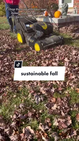 this is the most important thing you can do for the planet this fall! #ecotok #Sustainability #EcoFriendly #climateaction #climateaction #garden #soil #fall #protecttheplanet  
