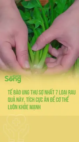 Tế bào ung thư 