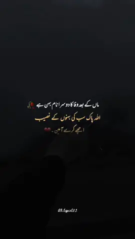 Lines for Sisters 🥺♥️ Ameen likh do sub 🥀😍 Don't under review my vedios @TikTok #fypシ #ali_typist01 #foryou #foryoupage #account #grow #vedio #viarl #sad #poetry #onemillionaudition #AikArielBees #1millionaudition #LaysCricketFan #ToofaaniMasala #standwithkashmir #1million 
