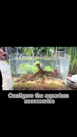 DIY Aquarium landscaping for home life #petlife#fish #aquarium #fishtok #aquascape #landscape #DIY #diycraft #aquariumhobby #homemade #fishinglife #foryourpage