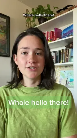 Whale hello there! 🐋 🤓 #marinebiology #marinebio #marinebiologist #womeninstem #stem #howto #fyp #foryou #fypシ 