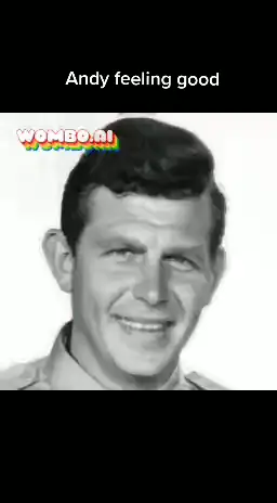 #andygriffith #fyp #wombo #funny 
