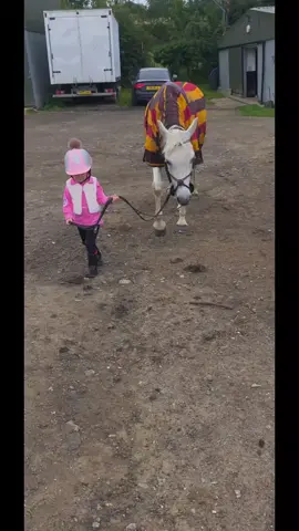 such a small girl with a beautiful heart #horse #pony #equestrian #hearthorse #littlegirl #adorable #training #practice 