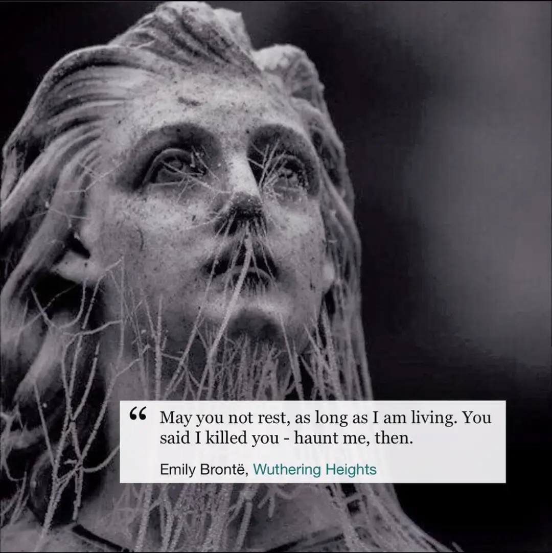 Some of my Instagram posts part3 #quotes #quoteoftheday #BookTok #booksoftiktok #darkacademia #darkacademiaaesthetic #bookrecommendations #bookquotes #literature #literarytok #classiclit #classiclittok 