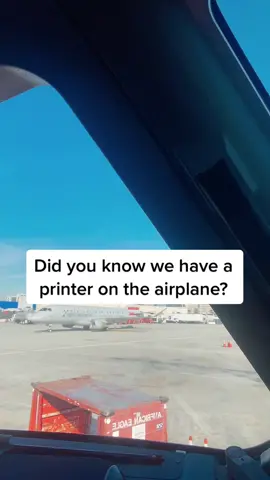 Be amazed, a printer! #pilot #GenshinImpact32 #aviation #travel 