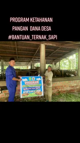 Dana Desa Program Ketahanan Pangan #ketahananpangan #sapi #ternaksapi #sapiindonesia 