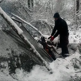I spent the coldest night of the year outside. I got caught in the heavy rain and snow storm. #camping #bushcraft #camp #wargehbushcraft #survival