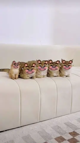 🥰