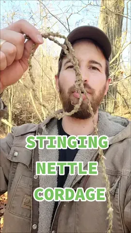 Making cordage from stinging nettle #fyp #foryou #bushcraft #survival #Outdoors