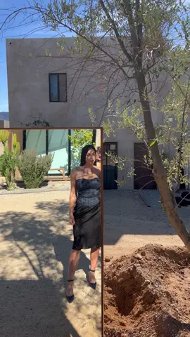 It felt good unplugging and not scrolling on my social media feed for two days 🌚 I should do this more often because honestly it gave me mental clarity. Don’t get me wrong I love taking pictures and videos but it’s good to stay present. #valledeguadalupe #mexicanblogger #mexicana #outfitinspo #pinterestaesthetic #fashionblogger #styleblogger #ensanada #enjoyreallife #fashioninspo #styleinspo #edikted #outfitideas #pinterestoutfit #bepresentinthemoment #GenshinImpact32 top is from @edikted 