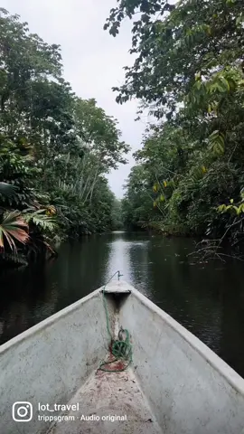 En la Amazonía Ecuatoriana 🇪🇨🍃 📍Laguna Paikawe, Misahualli . #ecuador #ecuadorprimero #ecuadortravel #ecuadorturistico #viajaprimeroecuador #jungle #selva #amazonia #lagoon #paikawe #lagunapaikawe #misahualli #napo #tena