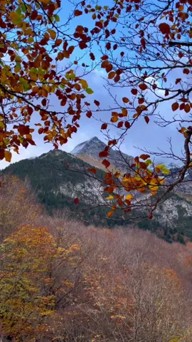 One of those moody autumn days when the air is crisp and smells like rain. 🍁🌧️🍂  #fallvibes🍂 #naturetiktok #pyrenees #pireneos #travellog #hikingtok #beauty_of_nature #cirquedegavarnie #octobercolors #seasonschange 