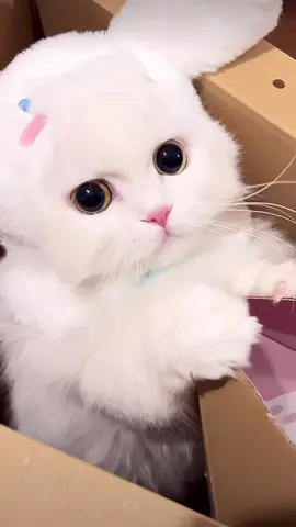 🥰