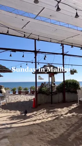 Malibu newsstand is the spot if u know u know 🤝 #dayinla #paradisecove #malibu  #wholefoodshaul 