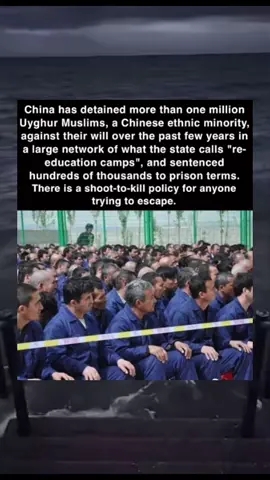 Did you know? #geopoliticalhistory #geopolitics #history #HistoryTime #historytok #fyp #fypシ #foryoupage #explore #explorepage #DidYouKnow #LearnOnTikTok #china #uyghur 