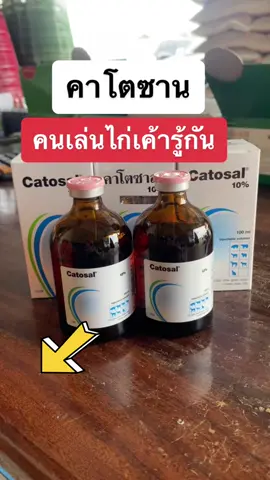 #คาโตซาน #ไก่ตีเงินล้าน #คนรักไก่ #จำหน่ายอาหารและอุปกรณ์ไก่ชน #แสงตะวันฟาร์มบุรีรัมย์ 