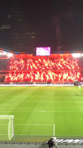 #basel fans lit up the whole stadium @marc  😱 #football #Soccer #futbol #switzerland #fyp 