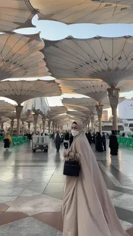🤲🏻❤️